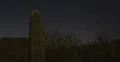 2K 30p tight Night sky behind mountains and Saguaro Cacti - Saguaro and planes Web Footage