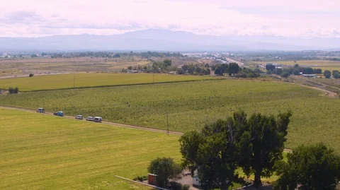 2K Aerial: Vast fields with hemp crops and mountain range in background Stock Footage 116342556