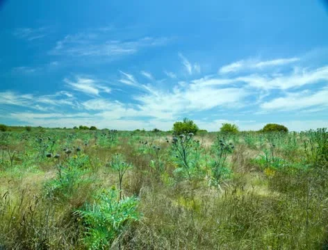2K Australian outback 4 Stock Footage 20136450