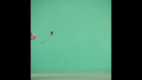 2K Continuous Lateral Blood Spurt Stream VFX Overlay on Green Background Vidéo 342954442