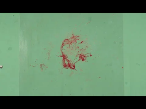 2K Continuous Meat Debris Falling Atmospheric Layer on Green Background Stock Footage 344956455