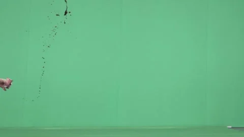 2K Dense Blood Droplet Splatter Spray VFX Overlay on Green Background Stock Footage 342950043