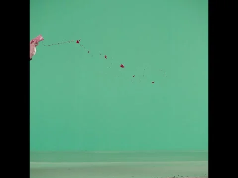 2K Directional Blood And Tissue Splatter Arc VFX Overlay on Green Screen Stock Footage 344874243