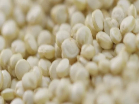 2k Dolly tracking move in macro close up over grains of quinoa Stock Footage 81338058