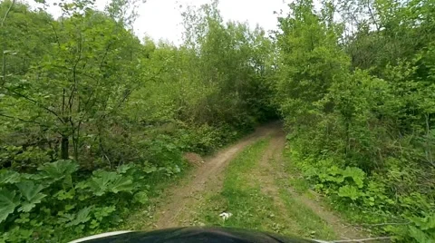 2K. Driving on a mountain rural road. Stock Footage 68992431