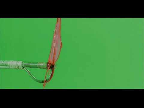 2K Extended Blood Drip And Drop Stream Atmospheric Layer on Green Screen Stock Footage 345673363