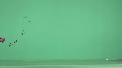 2K Fine Mist Blood Splatter Burst VFX Overlay on Green Background Video stock 342036080