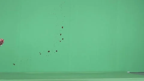 2K Fine Mist Blood Spray Burst VFX Overlay on Green Background 库存影片 342955220