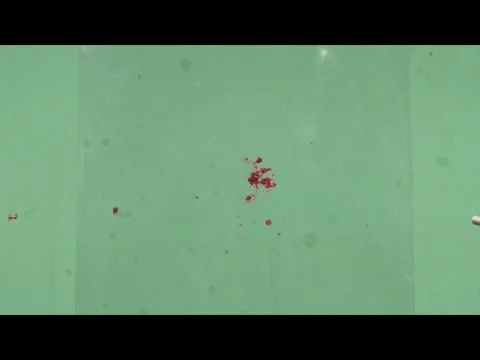 2K Flesh Fragments Falling Gravity VFX Overlay on Green Screen Stock Footage 344955613