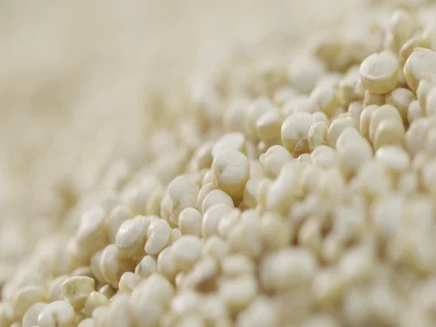 2k Focus pull Ultra macro close up of quinoa grains in slow motion Stock Footage 81338029