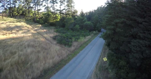 2k Forest Road Flyover Stock Footage 67757979