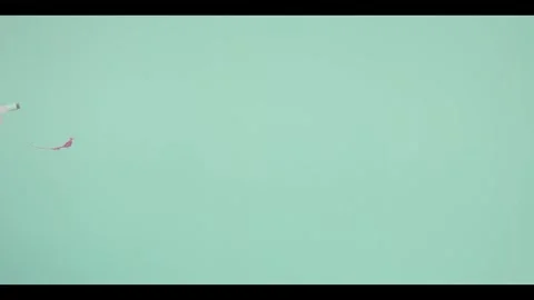 2K Full Frame Blood Spray Mist Atmospheric Layer on Green Screen Video stock 342037575