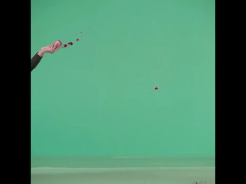 2K High Angle Meat Chunks And Blood Drop VFX Overlay on Green Background Stock Footage 344873168