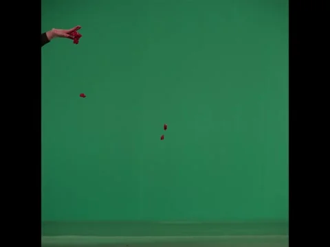 2K High Angle Meat Chunks And Blood Splash VFX Overlay on Green Screen Video stock 345663721