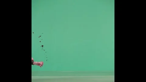 2K Linear Blood Jet Spurt Stream VFX Overlay on Green Screen Stock Footage 342954838