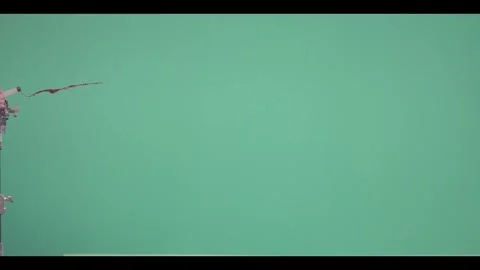 2K Long Arc Blood Whip Spurt VFX Overlay on Green Screen Stock Footage 342954789