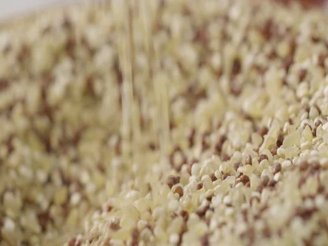 2k Macro close up of mixed whole grains falling into a pile in slow motion. Video stock 81338049