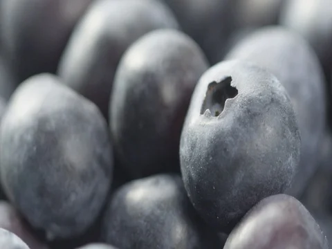 2k Macro extreme close up of a healthy heap of fresh blueberries. Video stock 81338059