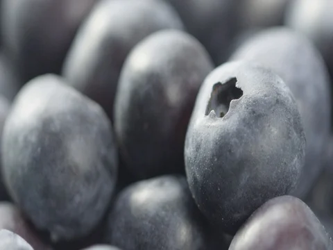 2k macro slow mo close up of blueberries in a bowl. Pan with focus pull. Stock-Footage 81338107