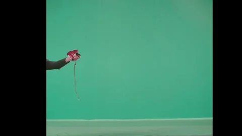 2K Powerful Blood Jet Spurt Stream VFX Overlay on Green Background Stock Footage 342956138