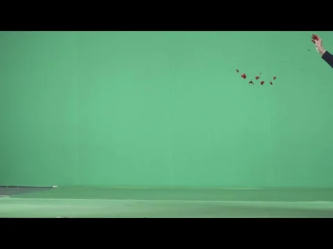 2K Raw Meat Chunks Flying Impact VFX Overlay on Green Background Stock Footage 344955226