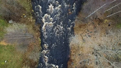 2K  Slow flight over a small river in the autumn forest Stock Footage 119262014