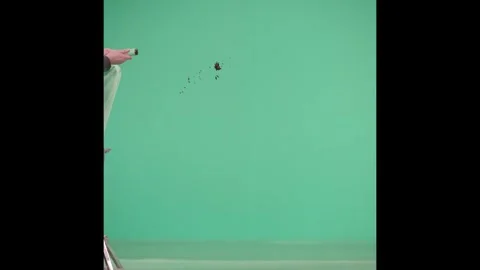 2K Steady Side Blood Jet Stream VFX Overlay on Green Background Stock Footage 342952972
