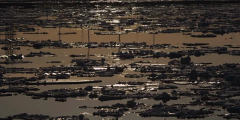 2K - Sunset Floating Lake Ice Stock-Footage 37660865