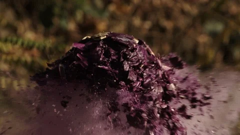 2K Super slow motion. The bullet hits the cabbage. Cabbage explodes. Video stock 92537059