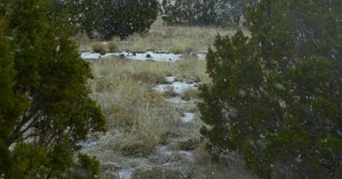 2K Tilt 120fps Snow Video stock 46596990