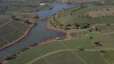 2K Top Aerial view of tea plantations in Vietnam Stock Footage 97859055