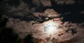 2K Video 30p- fast TL - Eerie full moon with clouds in timelapse Web Footage