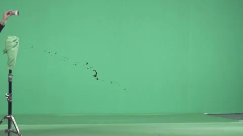 2K Violent Blood Burst Spurt VFX Overlay on Green Background Vidéo 342036077
