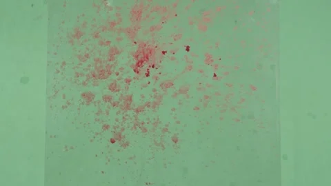 2K Volumetric Blood Spurt Flow VFX Overlay on Green Screen 库存影片 342951147