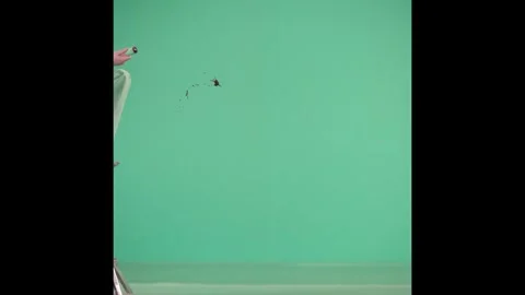 2K Wide Angle Blood Spray Mist Overlay on Green Background Video stock 342037481