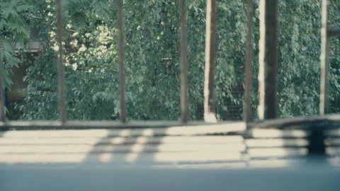 2nd floor Window view of Backyard fire escape Williamsburg Brooklyn 4k Video stock 248785088