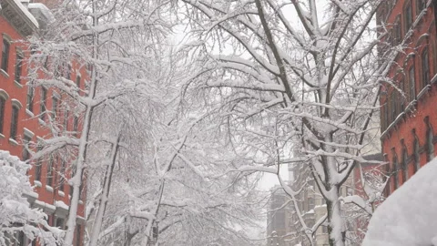 2nd Powerful Blizzard hits in East Village Manhattan in NYC on 2026 Stock-Footage 337270807