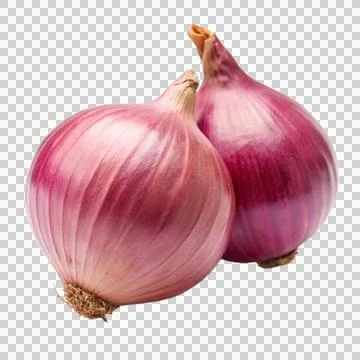 2shallot-isolated-on-white-background Stock Photos