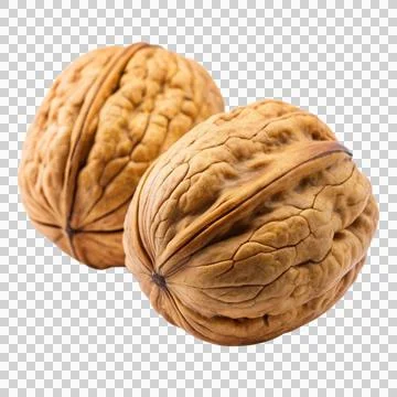 2walnut-isolated-on-white-background Stock Photos