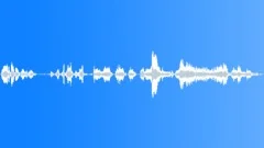 2Womansmcrowd_ObsrvGAspSound Effect