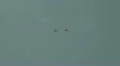 2x Zlin 50 LS airshow flight demonstration HD Footage