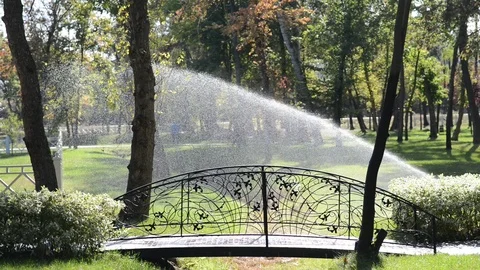 2Z priroda6 Stock Footage 116724224