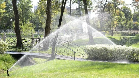 2Z priroda7 Stock Footage 116724201