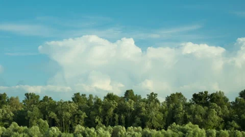 3 in 1 video! Puffy clouds above forest. The camera panoramic motion Stock Footage 52376261