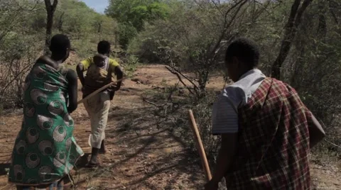 3 Africa ladies walking Stock Footage 60561253