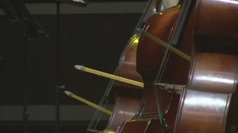 3 Cellist Bow on Cello with Quick Movements  库存影片 80775