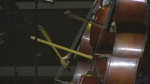 3 Cellos Slow To Quick Strokes 库存影片 80692