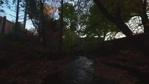 3. Cinematic FPV Drone Over Autumn Forest Stream Stock Footage 319364107