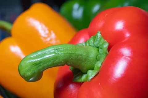 3 colors of Bell Peppers Stock Photos