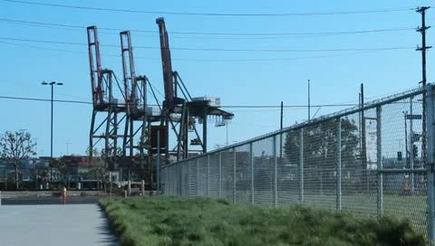 3 cranes med long 库存影片 10883110